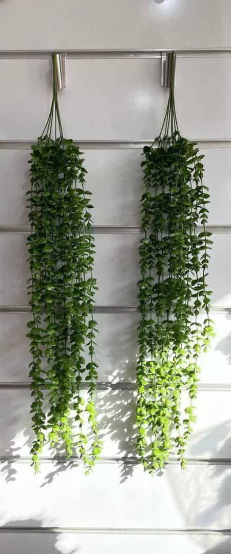 شمشاد مصنوعی