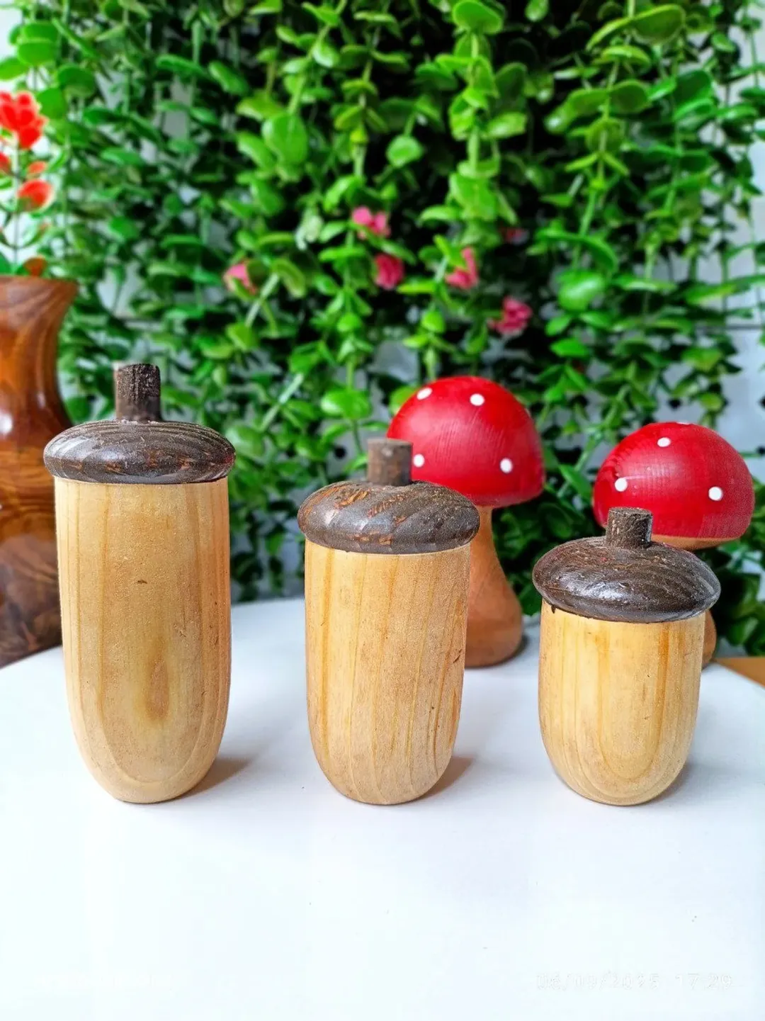 بلوط چوبی دکوری