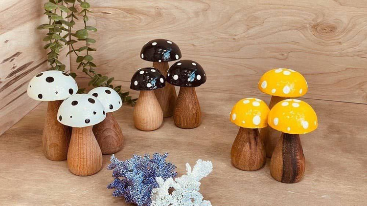 قارچ دکوریچوبی